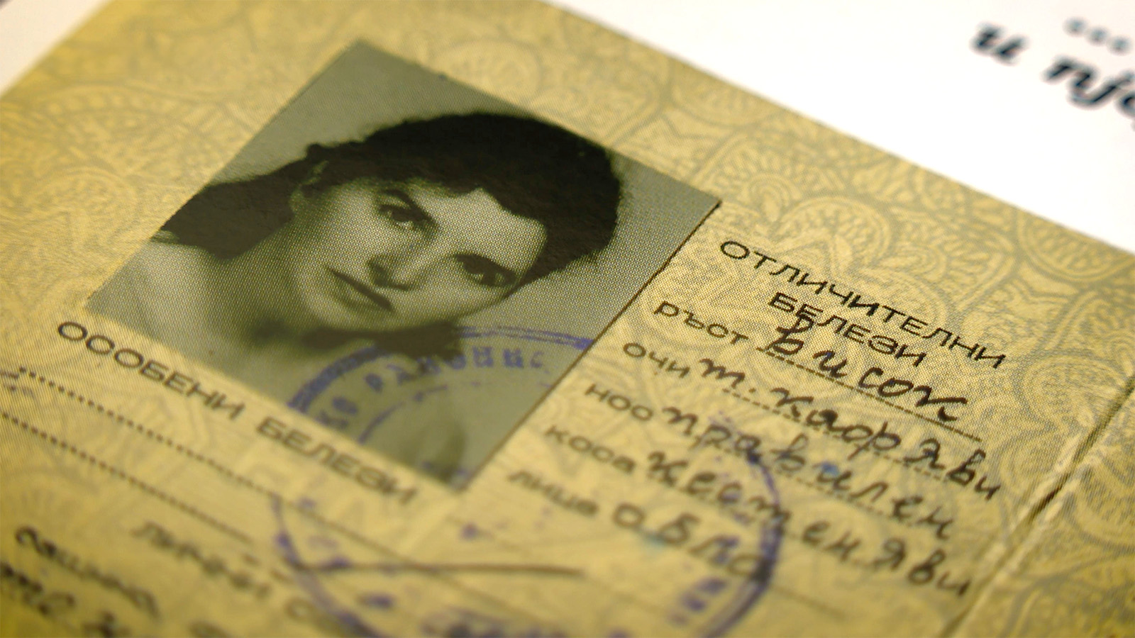 Vesna Parun: živa do boli i buntovna do smrti