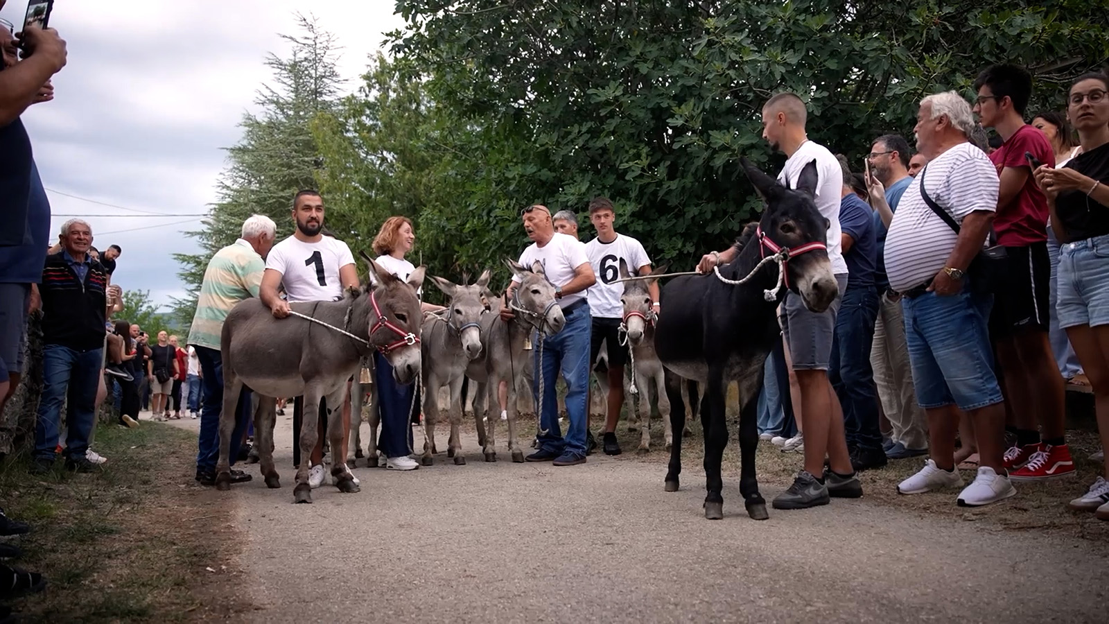 Kako je utrka magaraca oživjela gotovo prazno dalmatinsko selo